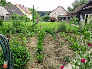 Gemüsegarten im Juni (c) by Joachim Wenk Gemüsegarten im Juni (c) by Joachim Wenk