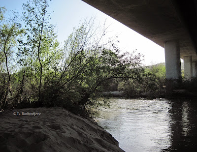   Salinas River From Under the Veterans' Memorial Bridge, © B. Radisavljevic