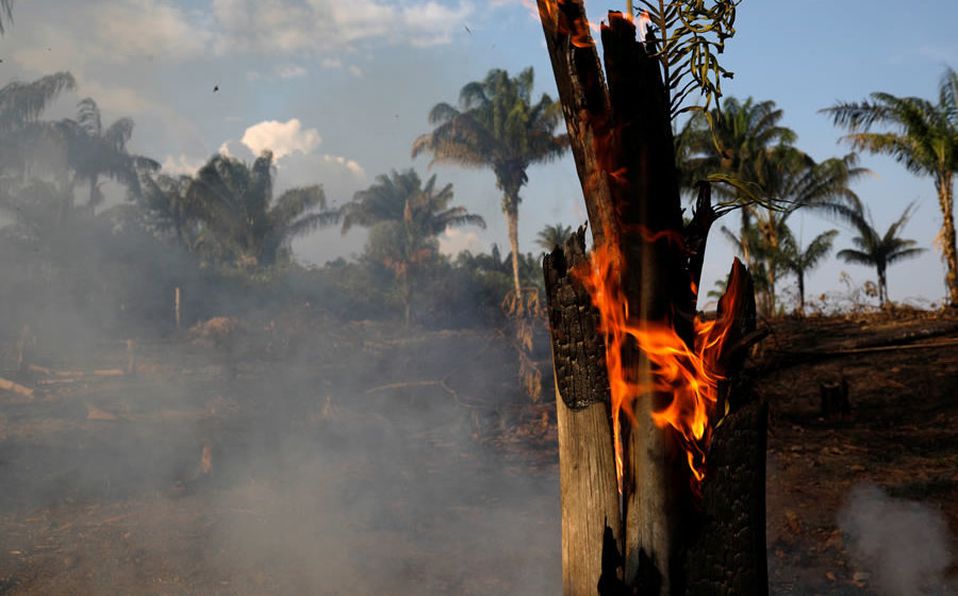Incendios en Amazonas de Brasil