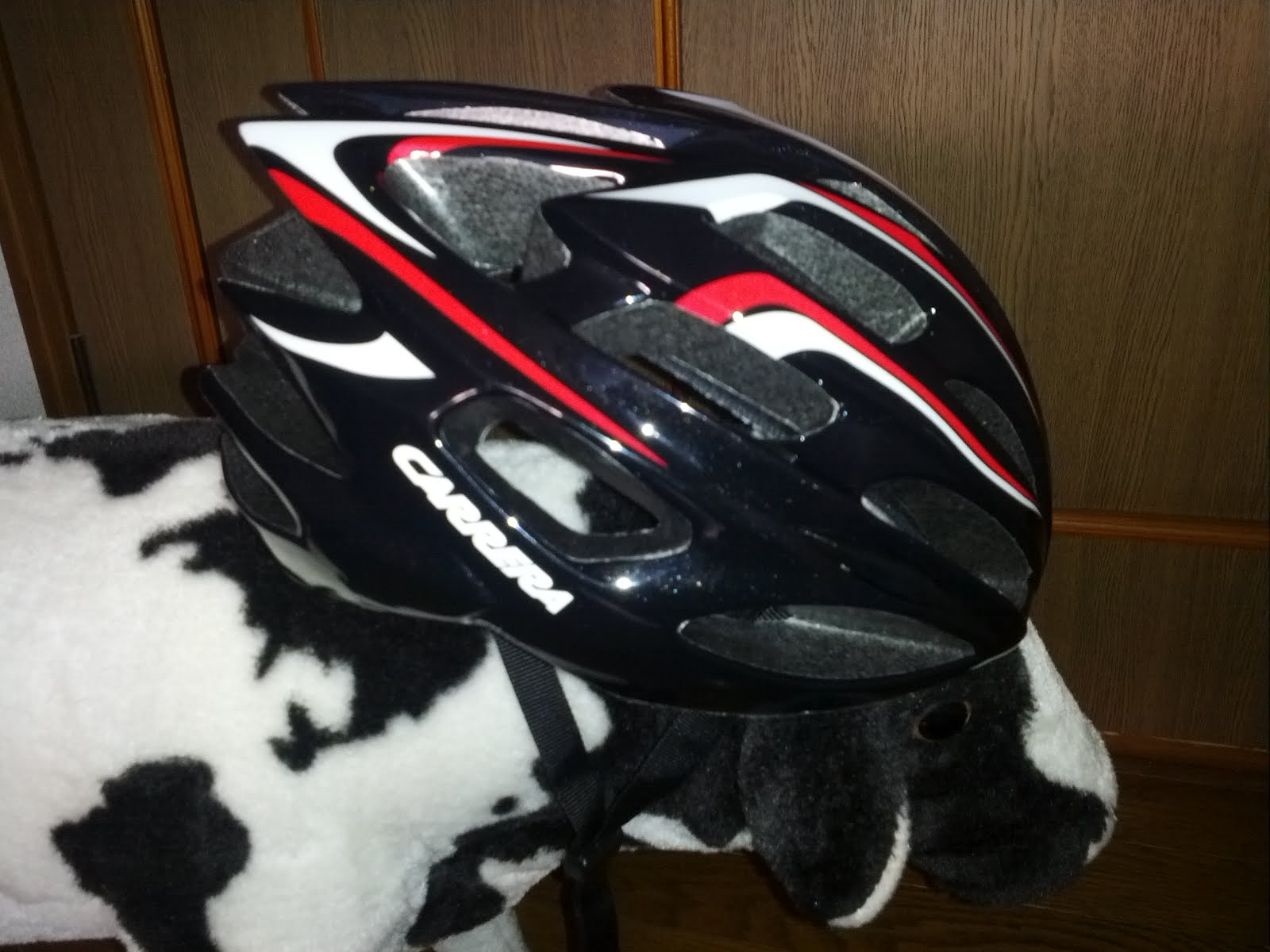 謎の日記: Carrera Blitz Road Helmet 購入