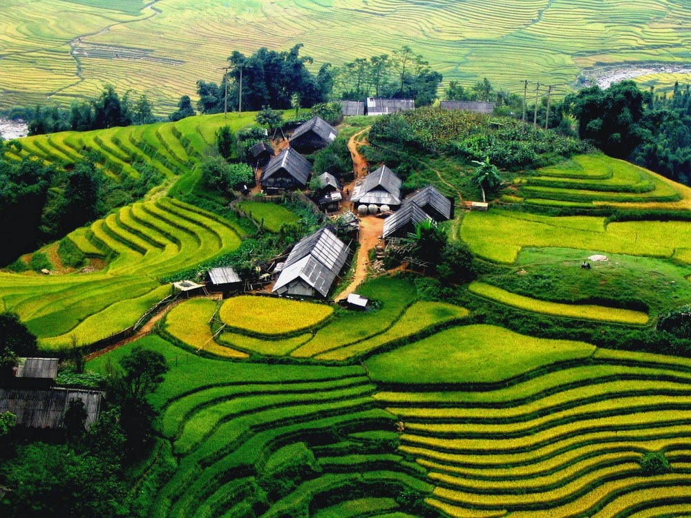 Ngắm nhìn hình ảnh đẹp mê hồn về phong cảnh thiên nhiên Việt Nam | Hình