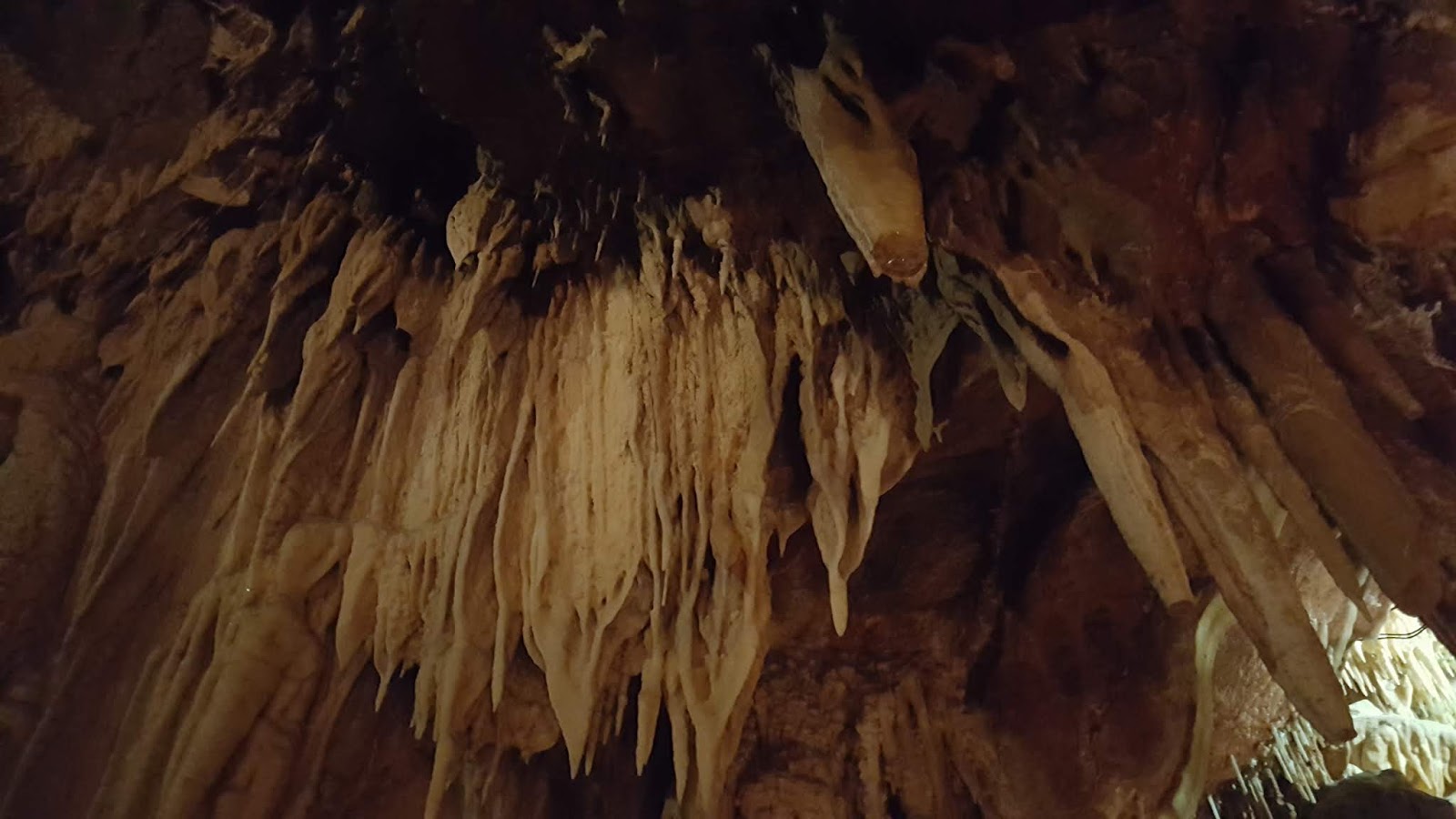 Com•mu•ni•ca•tion A Hidden Gem in California Angels Camp와 Twain Harte 여행