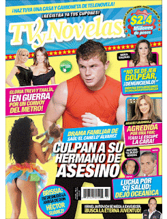 tvynovelas+19+de+noviembre+2012.gif