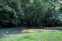 gua mimpi bantimurung