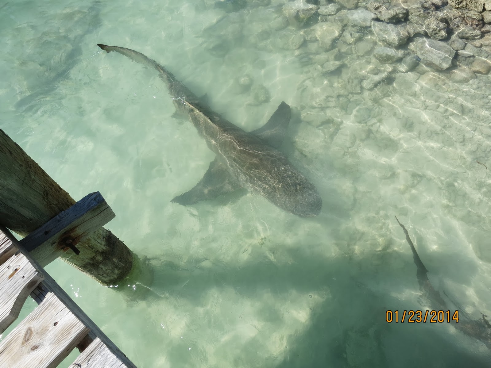 Sue and Paul Live the Dream Southern Exumas to