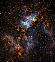 The Cool Clouds of Carina