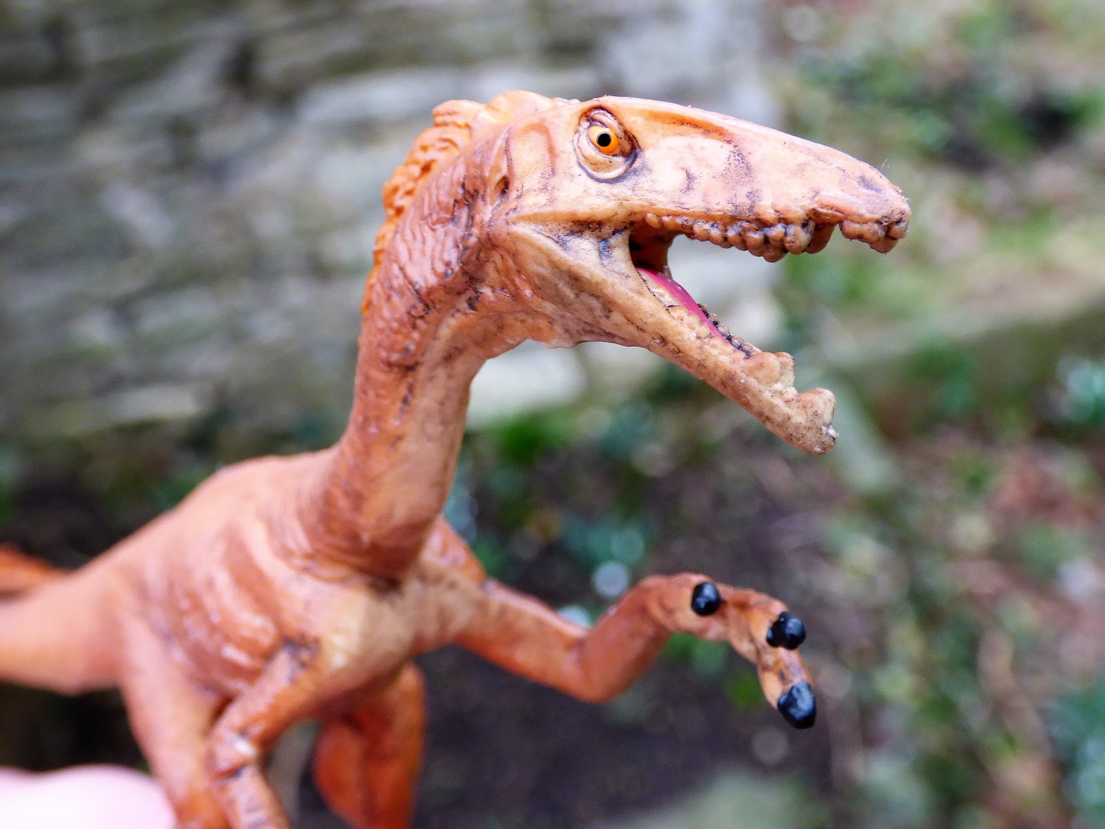 Chez Maximka New Schleich Dinosaurs