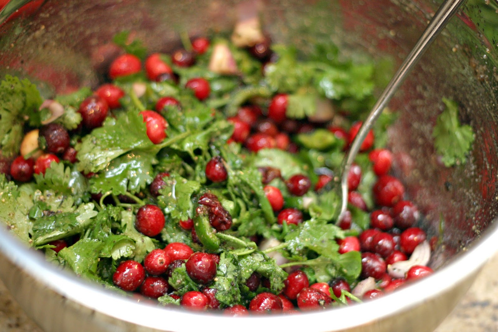 Cranberry Chutney Recipe - TaylorMade