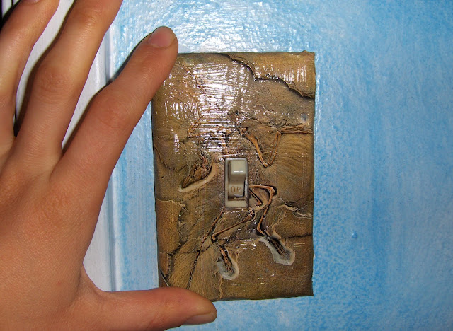 lightswitch plate cover