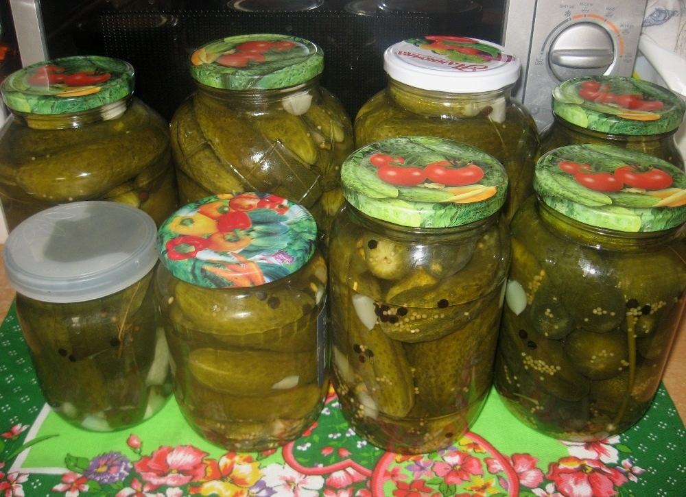 Огурцы маринованные. Маринованные огурцы в кастрюле. Маринованные огурцы форум. Огурцы корнишоны консервированные. Заготовки на зиму огурцы.