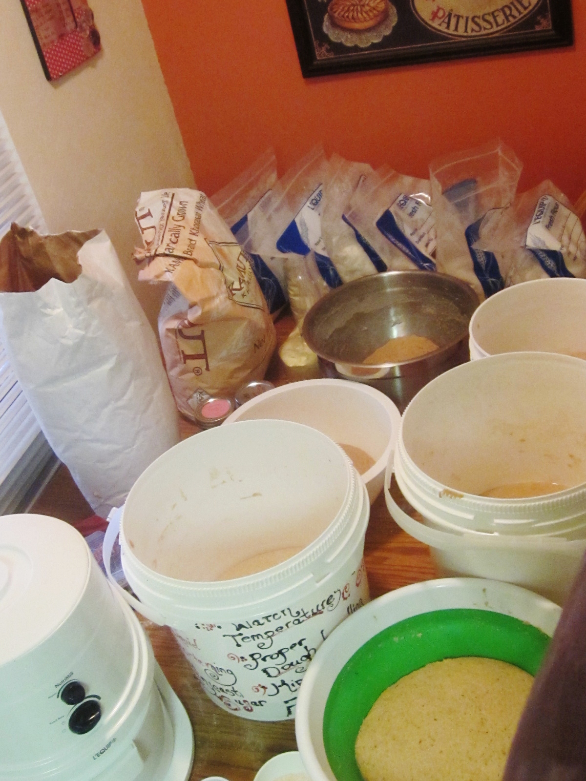 Chef Tess Bakeresse Making wholegrain flour at home in 3 Easy steps