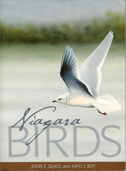Niagara Birds