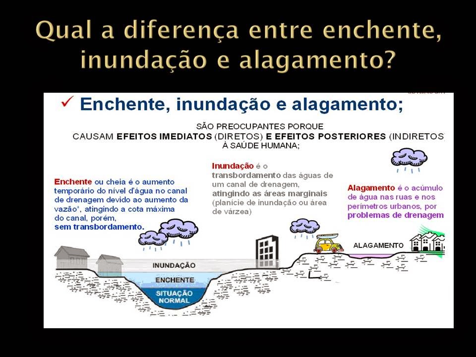 JORNAL BIOVIDA Qual a diferença entre