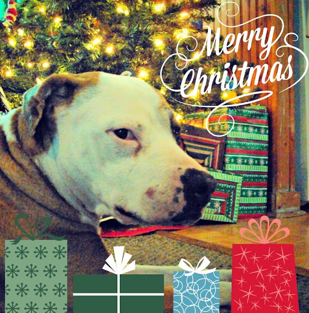 Funny christmas dogs merry christmas happy stock photo (edit now) 461062678 Wishing You a Merry Christmas | Pawsitively Pets