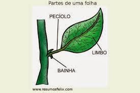 Quais são os benefícios da logística reversa para as empresas? Quais são os benefícios da logística reversa para as empresas?