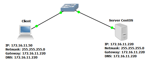 Шлюз и днс сервер. Apache веб сервер. webdav сервер. centos 8 dns.