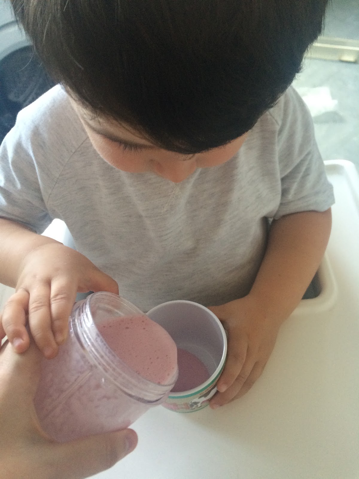 Nuby Garden Fresh Mighty Blender*