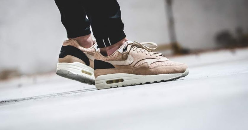 nikelab air max 1 pinnacle mushroom