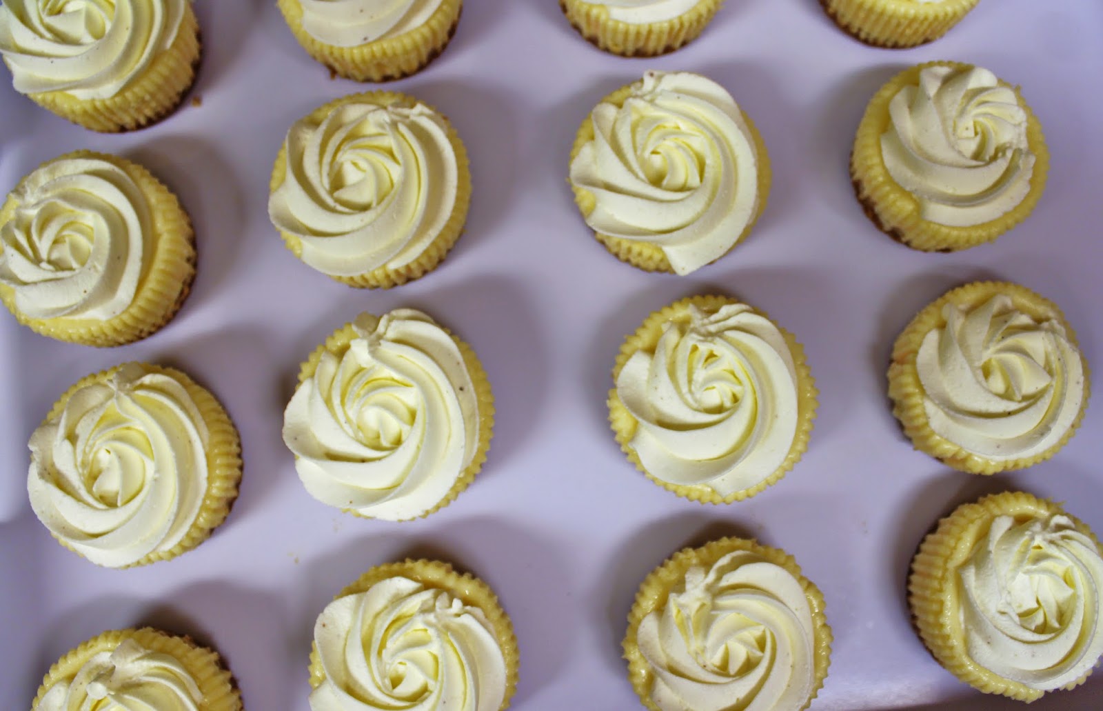 Blog as you Bake Eggnog Cheesecake Cupcakes with Eggnog Whipped Cream