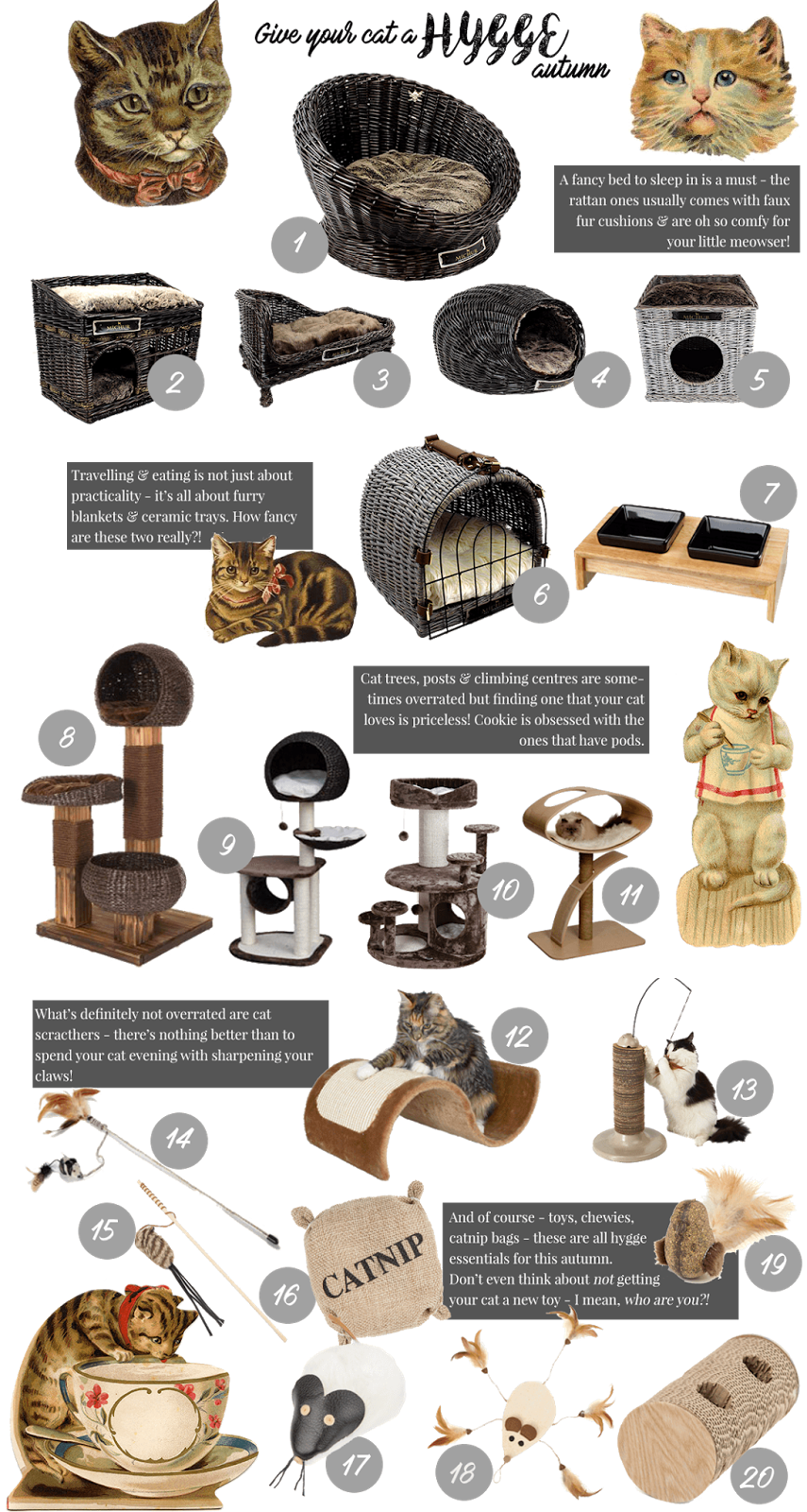 HYGGE for your cat๐ฆ (+20 cat toys!) HYGGE for your cat๐ฆ (+20 cat toys!)