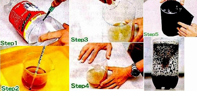 Nyamuk Dirumah Tak Habis-Habis? Coba Cara Alami ini Dijamin Dalam 60 Detik Nyamuk Minggat Nyamuk Dirumah Tak Habis-Habis? Coba Cara Alami ini Dijamin Dalam 60 Detik Nyamuk Minggat