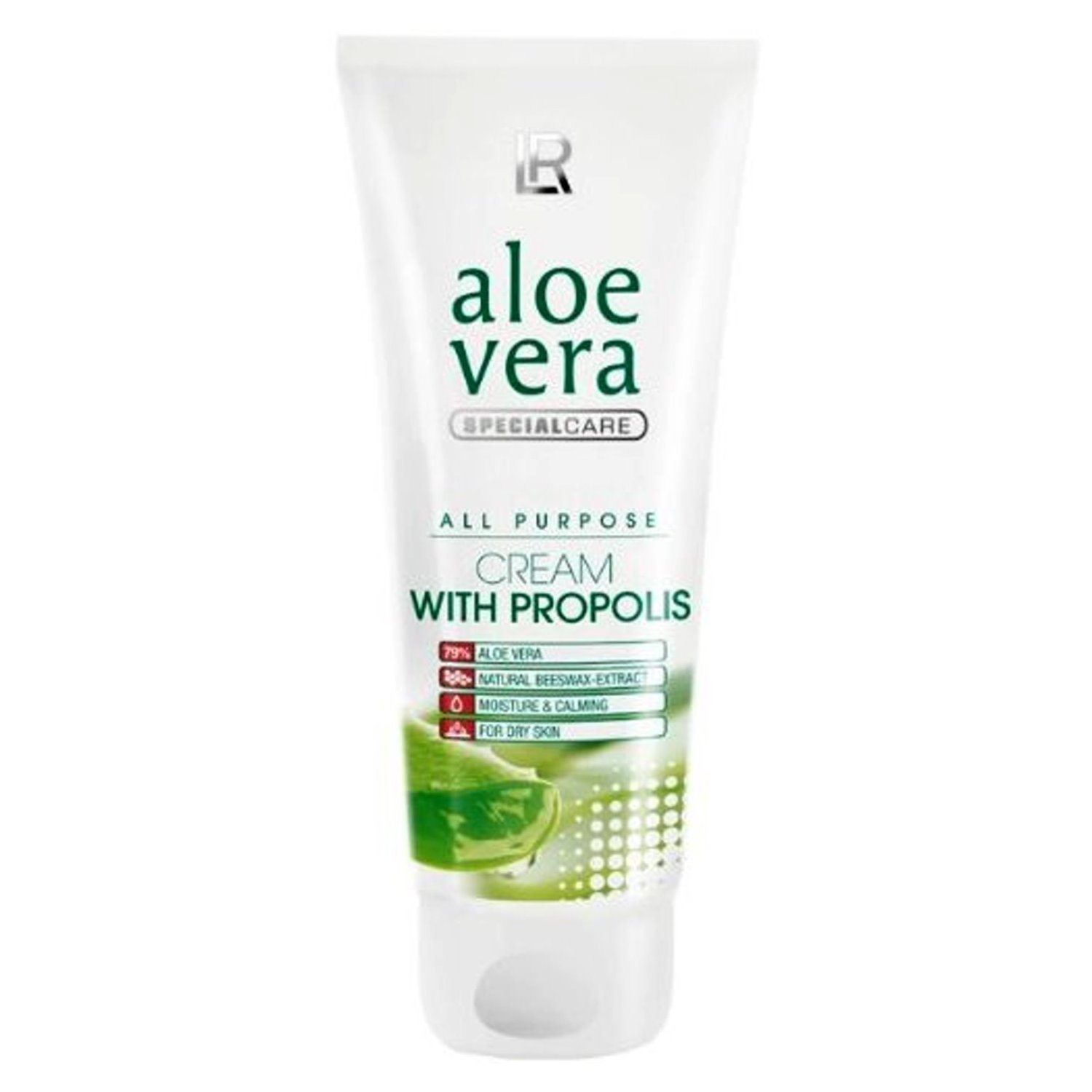 Evde Aloe Vera Bakımı İpuçları ve Kullanım Alanları Evde Aloe Vera Bakımı İpuçları ve Kullanım Alanları
