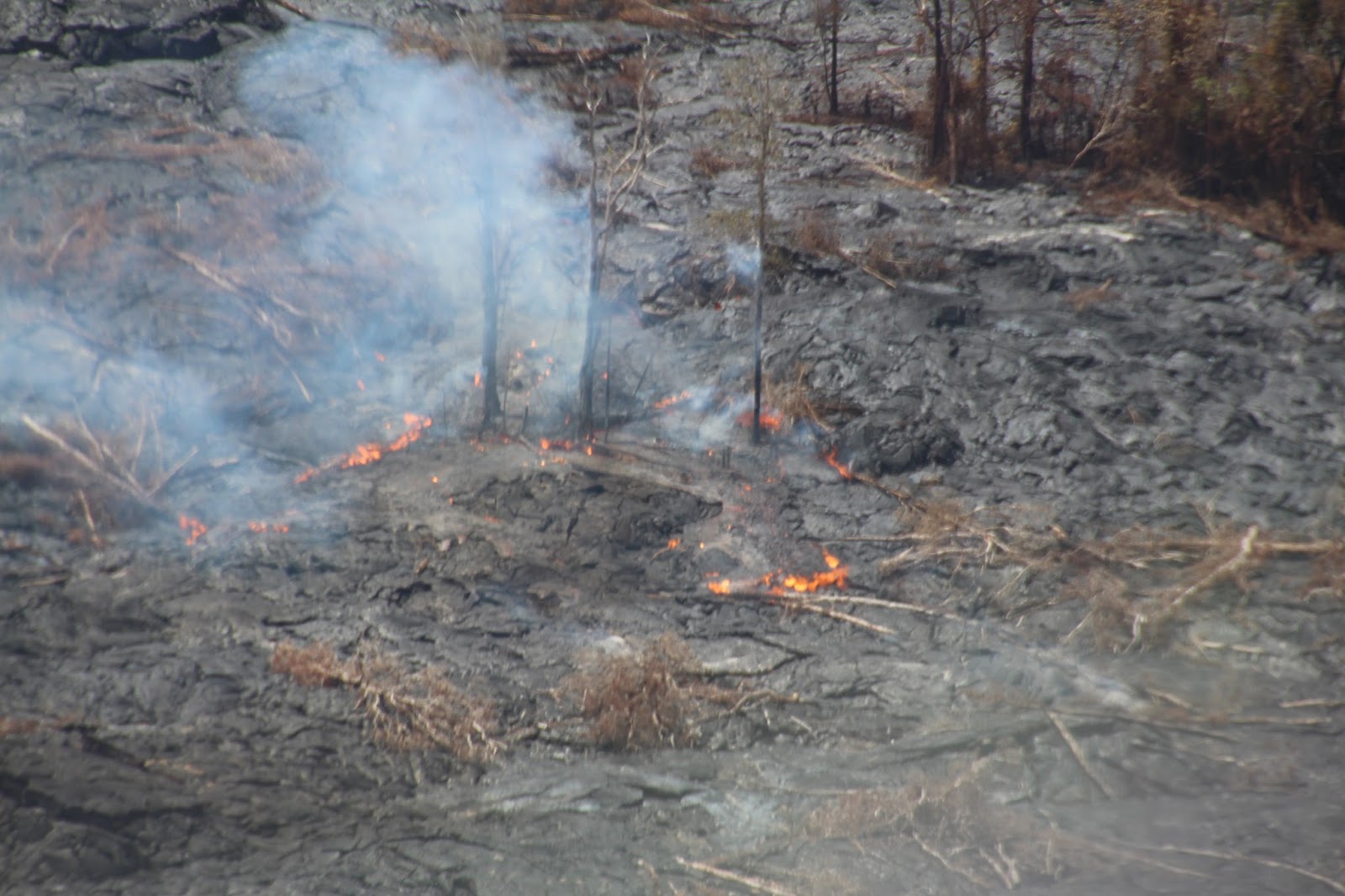 Armand's Rancho Del Cielo Hawaii Volcanoes National Park Entrance Fees