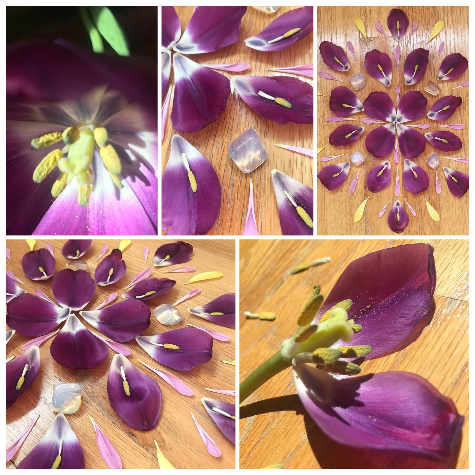 Flower Power Healing Meditation