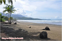 Costa Rica, Parque Nacional Marino Balllena Viajar a Costa Rica, es un viaje llena de naturaleza. La excursión al Parque Nacional Marino Balllena te acerca a estos cetaceos. Niños y adultos disfrutarán de esta excursión en sus vacaciones.