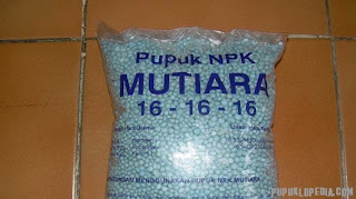 Pupuk NPK Mutiara
