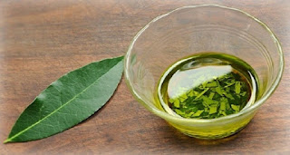 Make A Bay Leaf Tincture Against Rheumatism, Overstretched Tendons And Muscles, Muscle Pains, Misaligned Joints And Paralyzed Limbs Make A Bay Leaf Tincture Against Rheumatism, Overstretched Tendons And Muscles, Muscle Pains, Misaligned Joints And Paralyzed Limbs