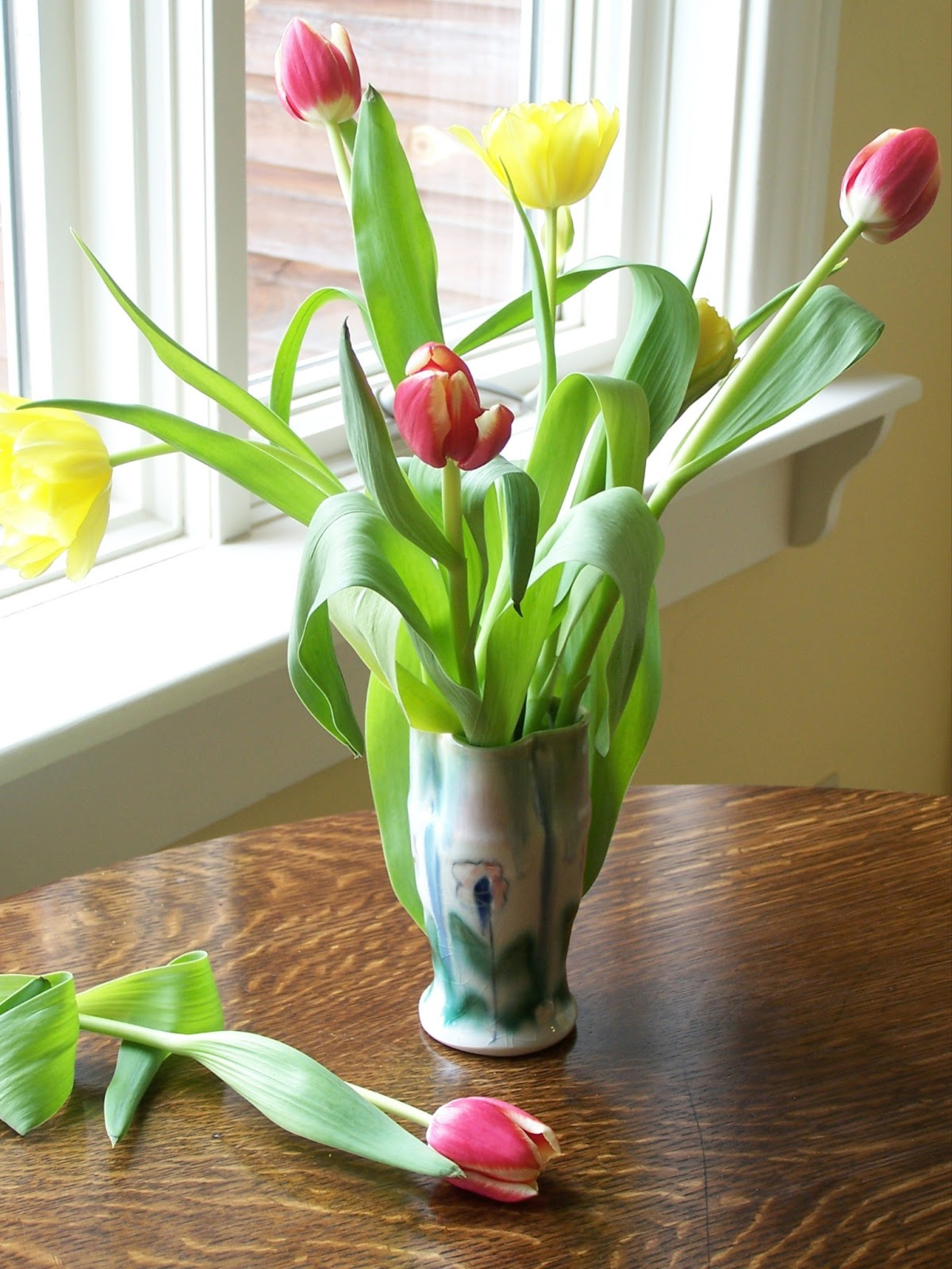 Растут ли тюльпаны в вазе. Тюльпаны в вазе. Букет тюльпанов. Тюльпаны в вазах. Красивый букет тюльпанов в вазе.