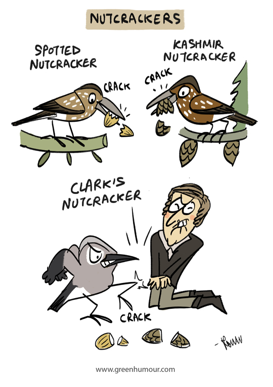 Green Humour Nutcrackers