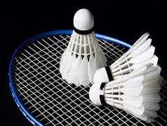 yang dimaksud badminton