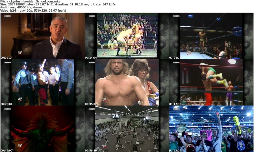 Ricky Steamboat The Life Story of the Dragon movie game download