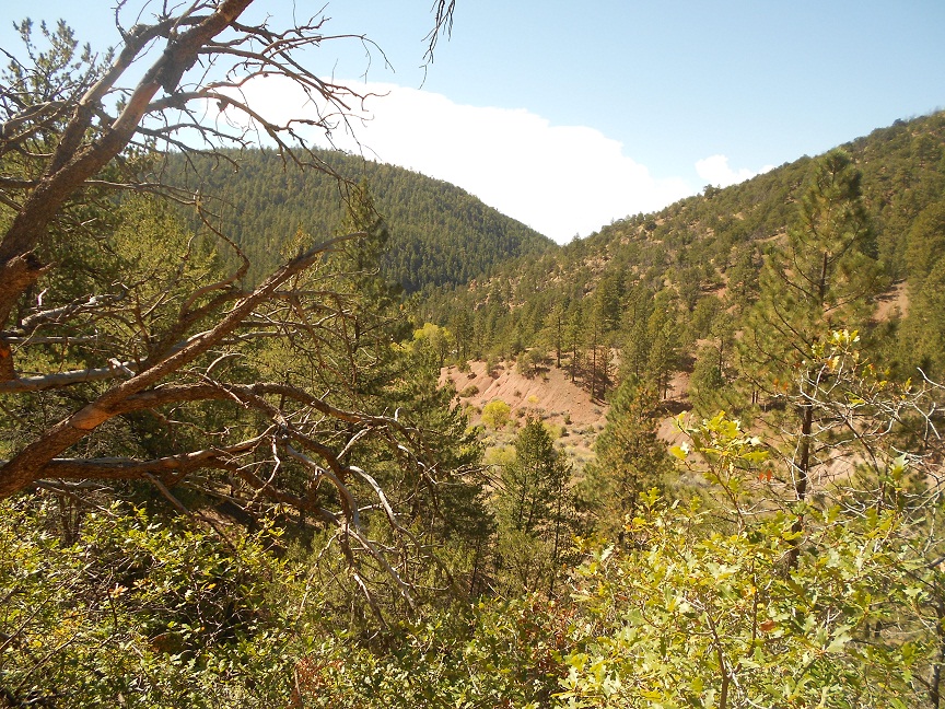 Hiking in New Mexico Western Trips