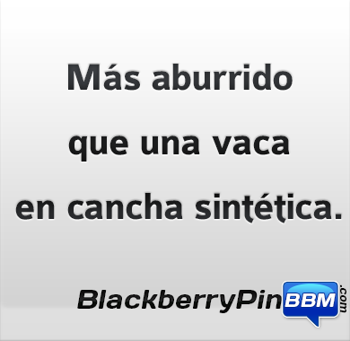 Imagenes chistosas para pin - imagenes chistosas para el pin 2016