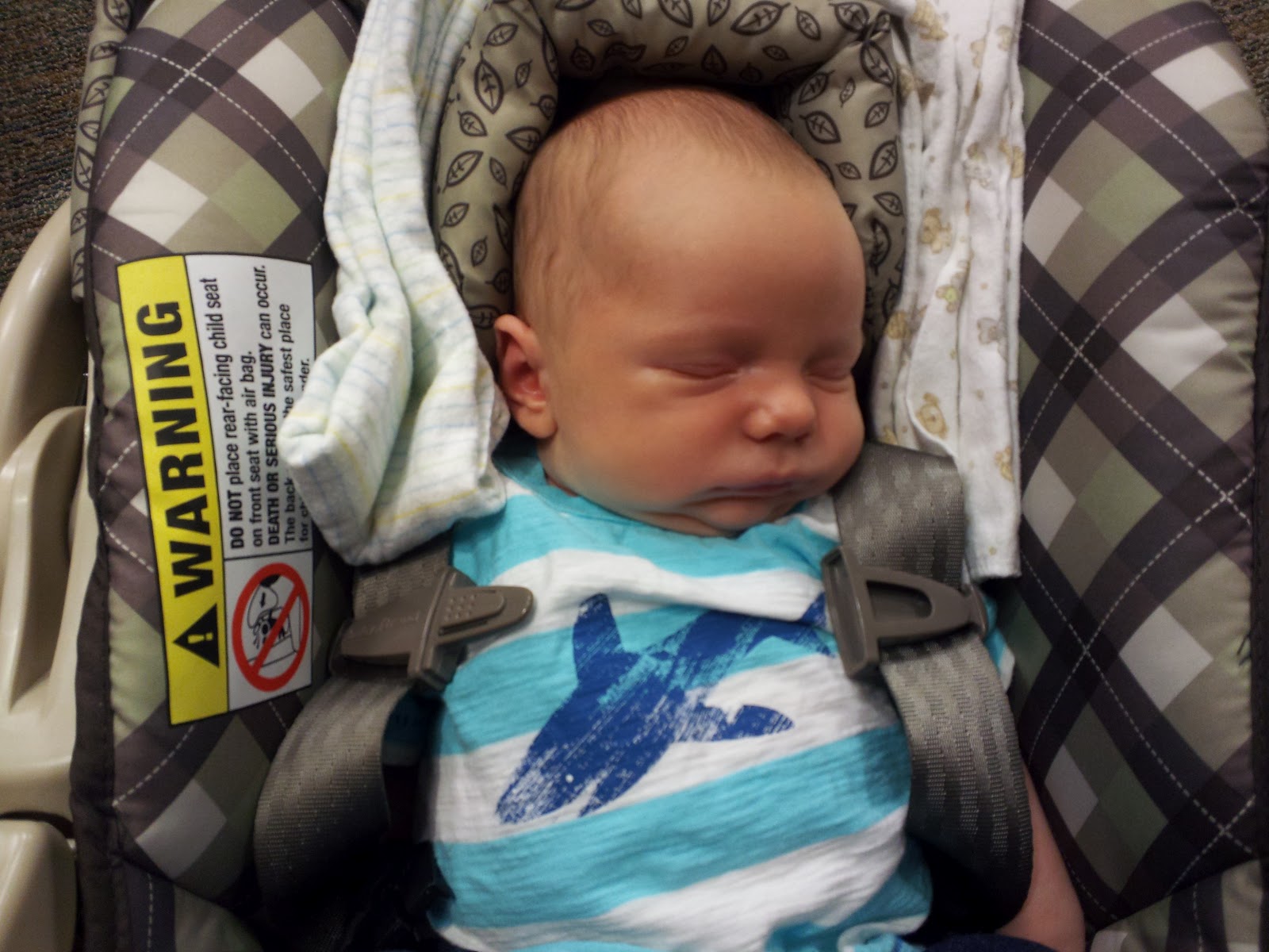 Baby Boy Packard 2012 3 weeks old and a bunch of pictures!