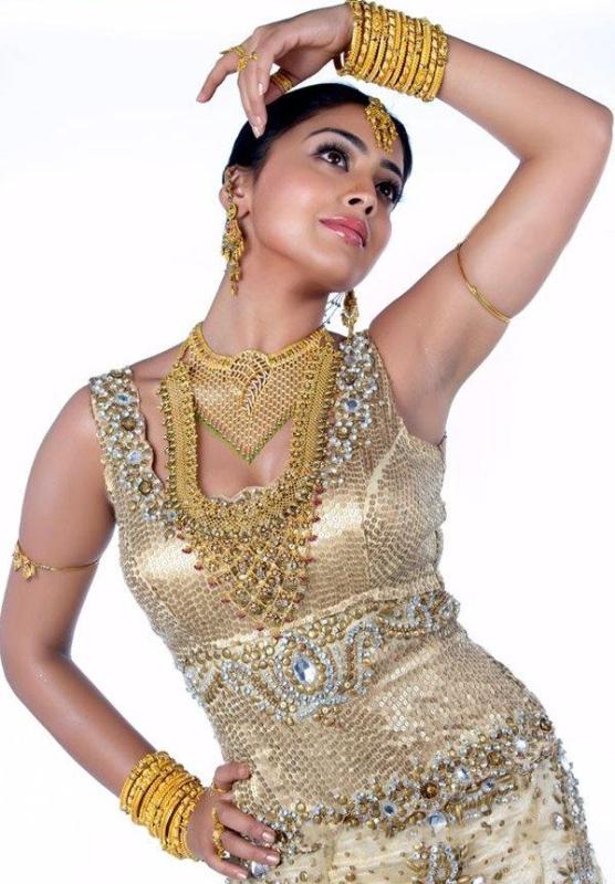Shriya Wonderful Golden Sari Images Collection Gallery