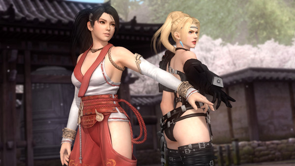 Dead or Alive 5 Last Round Update 10 Incl DLCs Pack PC Game