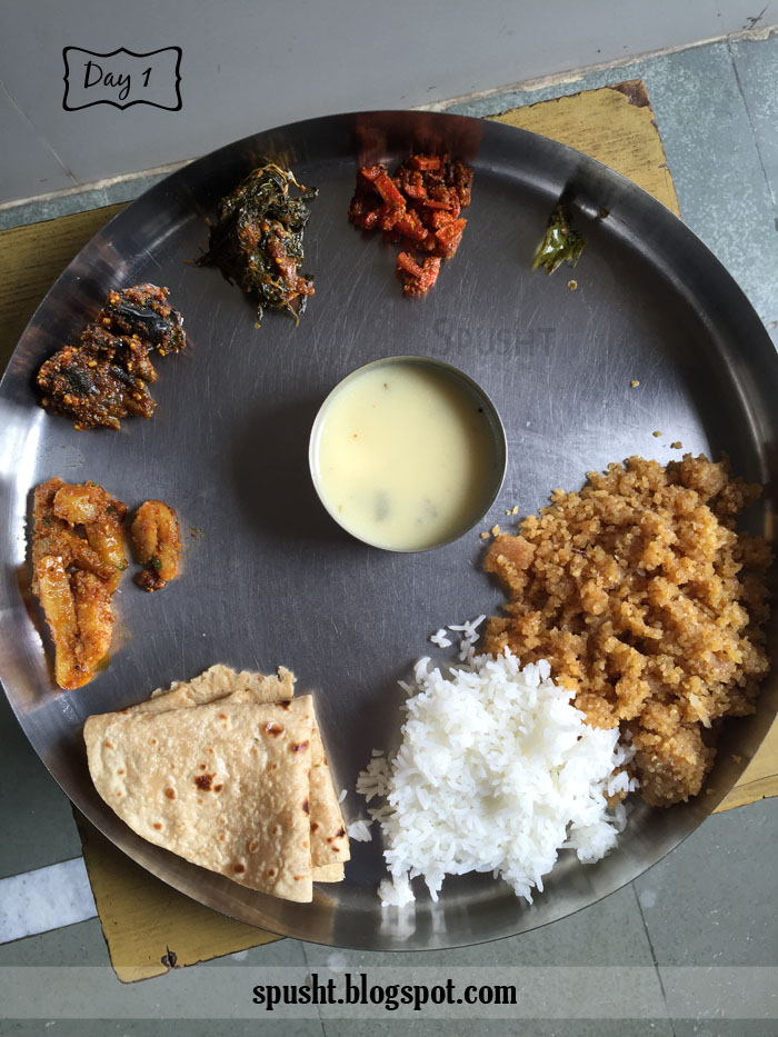 Spusht My Meals for a Month Vegetarian Indian Homemade Food