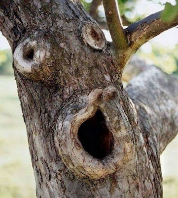 Great and Funny Trees