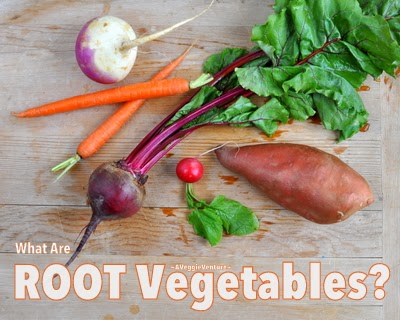 What Are Root Vegetables? Another Vegetables 101 from A Veggie Venture