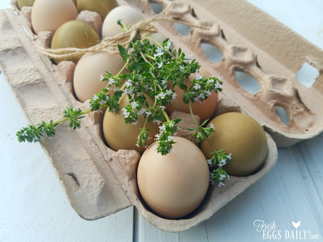 How To Clean A Broken Egg Off the Kitchen Floor - Fresh Eggs Daily® with  Lisa Steele