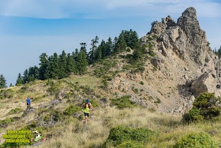 KAL 8899 | Lamianow.gr