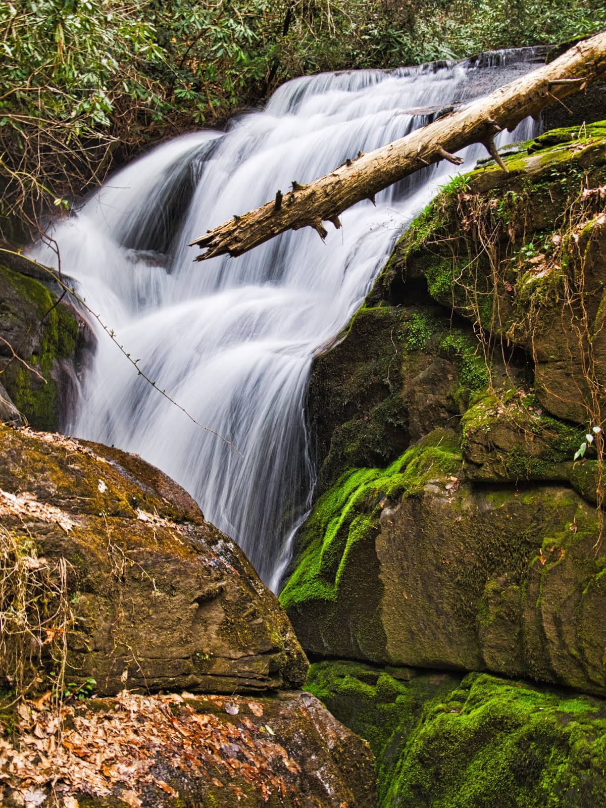 Another visit to Rocky Bottom Falls