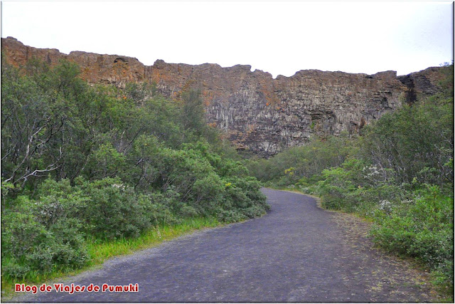 Cañon de Ásbyrgi, Islandia Ásbyrgi es un cañon en forma de herradura con paredes de hasta 100m de altura. Blog de Viajes a Islandia