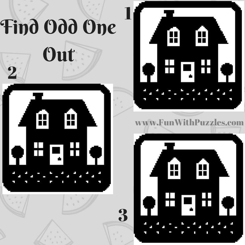 Observation Picture Puzzles to find Odd One Out Picture Fun With Puzzles