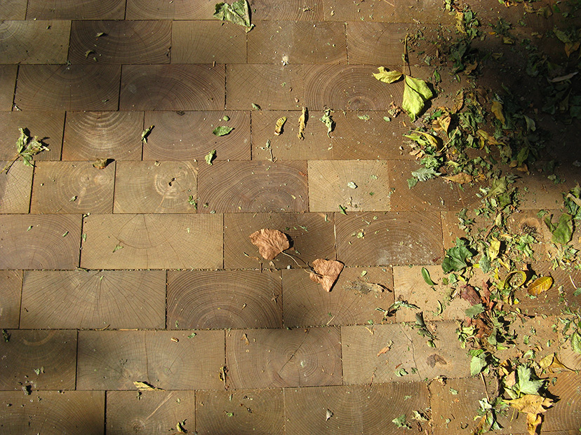 ArchitectureChicago PLUS How a Bunch of Blockheads restored Chicago's