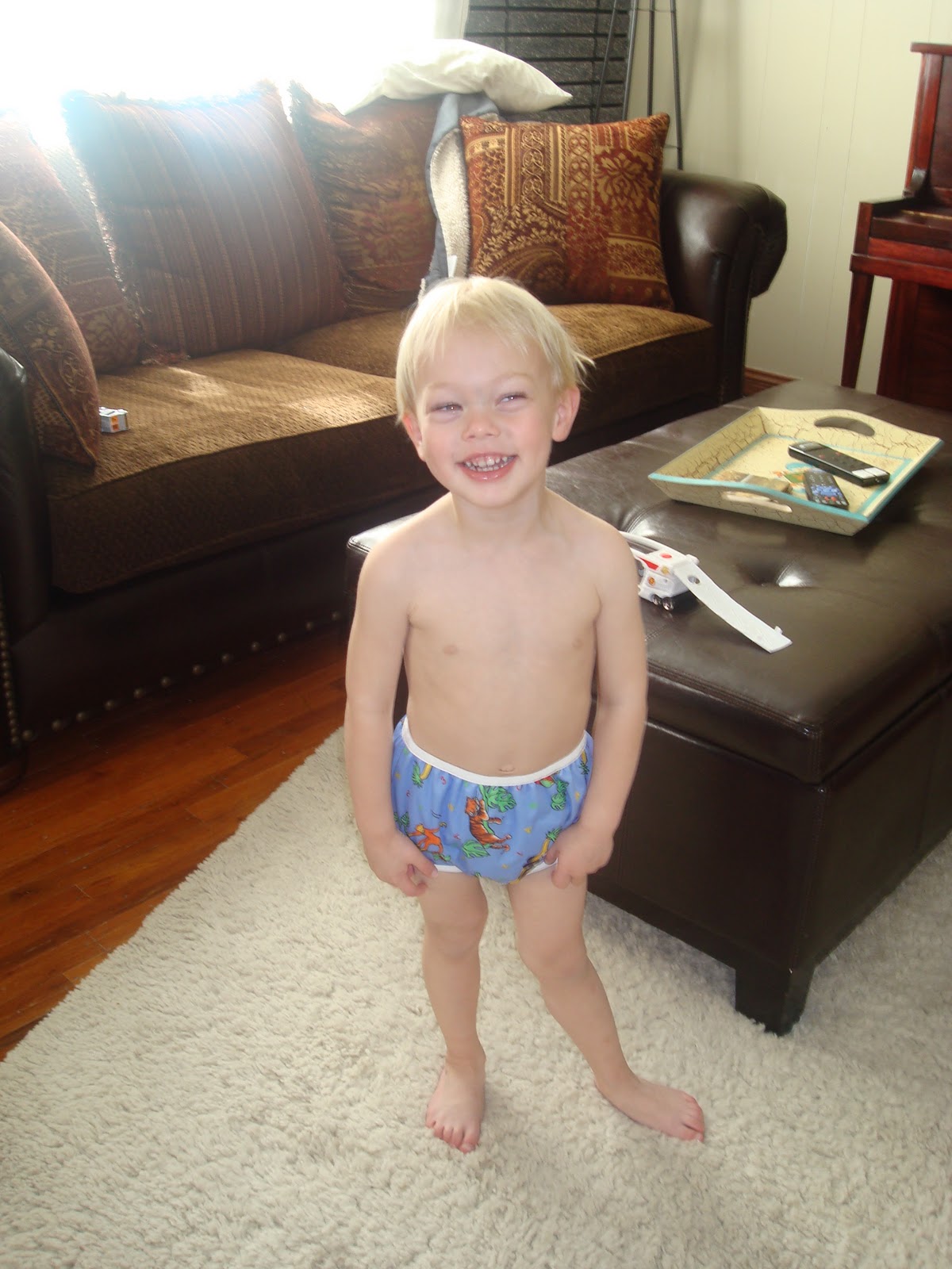 The Curious Case of Mommyhood Diaper Envy's Bummis Training Pant and